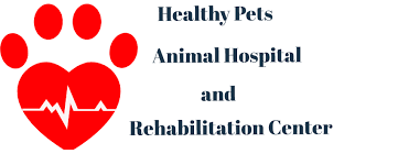 West olympia pet hospital, olympia, washington. Healthy Pets Animal Hospital And Rehabilitation Center Home Facebook