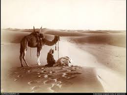 They are ubiquitious in no. Laptop Human And Animal Camel National Geographic Background Picture Free Download Images
