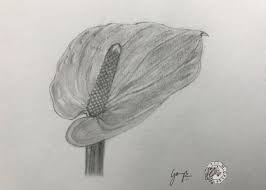 Pin On Pencil Sketch Graphite Drawing