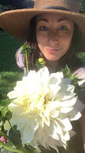 Dahlia/Sea Lavender and hydrangea/strawflower wreaths for this week's Shop  Local at Watertown Farmers Market, Sunday 10-1 at Young's Farmstand. Of  course we'll have our teas and salves as well!!