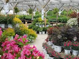 Proven winners flowers for sale. Proven Winners Walters Gardens Inc