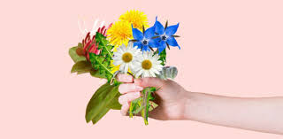 Displaying 162 questions associated with treatment. Parts Of A Flower And Functions Trivia Facts Quiz Proprofs Quiz