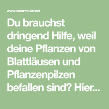 Natron Als Effektives Mittel Gegen Blattlause Und Pflanzenpilze Pflanzen Pflanzenschadlinge Pilze