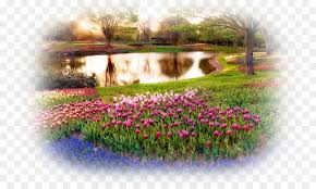 Gambar taman minimalis yang menarik adalah inspirasi bagi banyak orang yang ingin memiliki taman pribadi namun terkendala dengan keterbatasan ruang yang ada di rumah mereka. Taman Bunga Desktop Wallpaper Taman Gambar Png Ultra Hd Spring 4k 900x540 Download Hd Wallpaper Wallpapertip