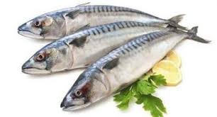 Hasil gambar untuk tuna fish food