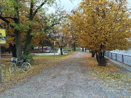 gz wipkingen an der limmat im herbst dorf impressionen zurich