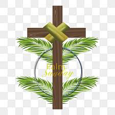 Edisi baru minggu palma tahun a b c 28 maret 2021 mazmur tanggapan dan bpi ref 019 ps 819. Gambar Hari Minggu Palma Png Vektor Psd Dan Untuk Muat Turun Percuma Pngtree