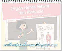 Kegiatan akan dilakukan di halaman sekolah yang berbentuk persegipanjang. Kunci Jawaban Buku Tematik Tema 1 Kelas 5 Organ Gerak Hewan Dan Manusia K13 Soal Dan Jawaban