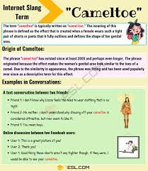 If you have heard this phrase used but are still wondering what it means, then you should continue. Camel Toe Meaning Learn The Definition Of The Slang Term Camel Toe 7esl