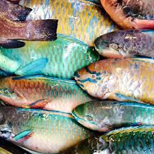 来到长滩岛 那里可以错过talipapa的海鲜大餐 但如果是游客 肯定被当菜头大砍特砍 所以记得要随我们fun团出游喔 呵呵 谢谢winghun leong 提供美照