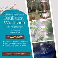 Ann Harman (@hydrosolheadquarters) • Instagram photos and videos