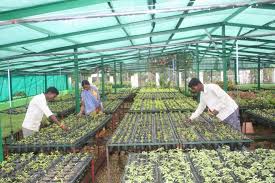 Damodar Valley Corporation Soil Conservation