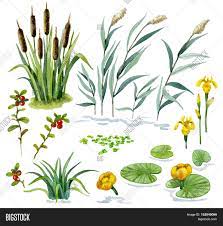 We did not find results for: Raster Colorful Image Photo Free Trial Bigstock