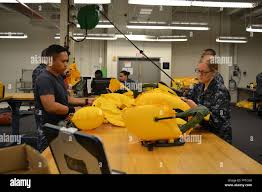 Image result for Yellow 2016 Fleet