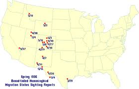 1996 Hummingbird Migration Maps