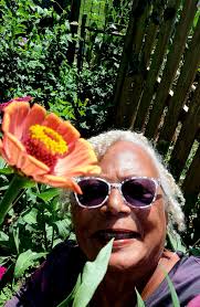 My zinnias this year have reached an all time height! 68 inches tall! ❤️