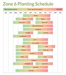 Zone 6 Planting Schedule Veggie Garden When To Plant