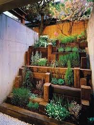 plantsss idees jardin jardin zen jardins