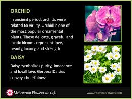 Flowers that represent love and strength. Discover The Meaning Of Various Flowers Ppt Download