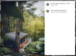 Kamu bisa nikmati pemandangan hutan pinus yang eksotis dan cocok jadi objek foto. Tempat Wisata Malang Paling Hits Banyak Spot Instagramable