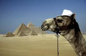 No matter how much we discover about the famed great pyramids of giza in egypt, there always seems to be an air of mystery surrounding these structures. Camel And The Great Pyramids Of Giza 13420015 Framed Photos