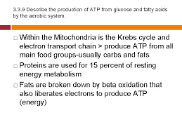 They are tougher to break down, but they contain more energy than proteins and carbohydrates. Topic 3 Energy Systems 2 Relationship Between Nutrition