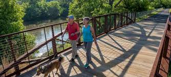 Looking for the best pet friendly asheville hotel near downtown? Pet Friendly Asheville Nc S Official Travel Site