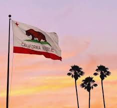 The flag shows a grizzly bear which represents strength as well as the many grizzlies that roam california. The Bear Flag And Palm Trees Los Angeles California Visitcalifornia Travel Wanderlust California Losa Venice California Visit California City Of Angels