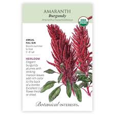 Image result for Amaranthus