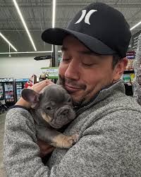 My husband and I are about to take in a 4 month old intact male mini and is  coming from a very living and hands