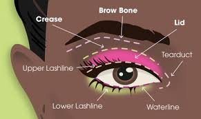 Applying eyeshadow is relatively easy. How To Apply Eyeshadow Tips Tricks Or Eye Shadow Beautyblender