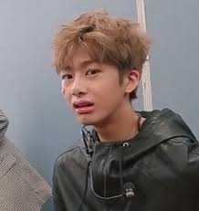 Imagen De Kpop Meme And Reaction Meme Faces Reaction Face Dank Face