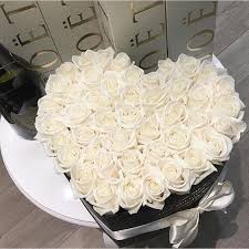 How to take care of million roses. Amazon Com Beauty Million Roses White Roses Rose