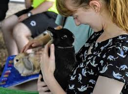 Normally we bring our extended family of lovable animals to events like birthday parties, educational events and fairs. Squeals On Wheels Traveling Petting Zoo
