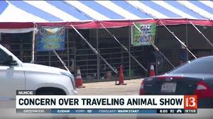 Small backyard petting zoo farm. Traveling Petting Zoo Outrages Some In Delaware County Wthr Com