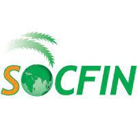 This means an oil palm plantation can continue and earn significant revenues for several years. Socfin Linkedin