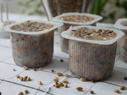 Boules De Graisse Et Graines Pour Oiseaux Diy Nourriture Oiseaux Graine Oiseau Diy Nourriture