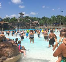 Check spelling or type a new query. The Ultimate Guide To Disney Water Parks Disney Trippers