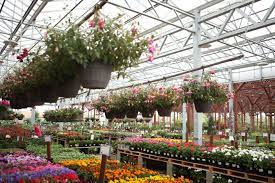 Other places within 1500 meters of garden grove nursery & flower shop are listed below. Hanging Baskets Spring Color Spring Plants Nursery Supplies Perennials