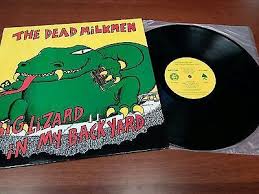 Big lizard in my backyard is the debut album by the dead milkmen, released by restless records in 1985. Gripsweat The Dead Milkmen Big Lizard In My Backyard Lp Dickies Ween 1st Press Translucent