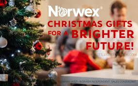 12 Days Of Norwex Christmas The Little Helper Little Green Cloth In 2020 Norwex Holiday Christmas Gifts Day