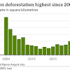 54% of the global forest loss occurred in latin america. 1