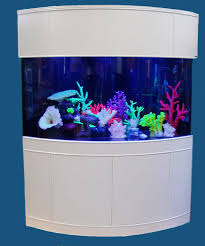 Moon View Corner Tank Set Glass Aquariums And Stands Aqua Vim A corner fish tank is a wedge shaped aquarium with a wide, curved glass front.