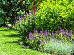Named after the fort pierce army post built in the 1830s, the city has a long list of recognitions. Pest Control Lawn Care Fort Pierce Port St Lucie Fl