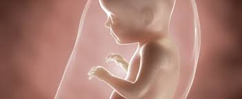 Bin jetzt in der 28.ssw (27.+3 ssw) und wollte gerne mal wissen wie groß das baby jetzt ungefähr ist und wie schwer? 28 Ssw Schwangerschaftskalender Aptaclub