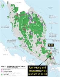 Forest inventory in peninsular malaysia. Excision The Main Threat To Forests In Peninsular Malaysia Macaranga