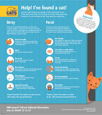 If you work with it not against it, it makes the transition easier. What Are Feral Cats Help And Advice Cats Protection