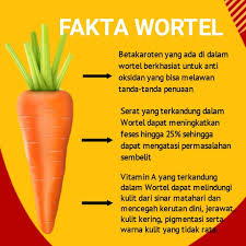 Umunya semua anak pasti senang dengan pelajaran menggambar atau selain itu kalian bisa menambahkan beberapa tambahan lainya seperti halnya dengan gambar wortel, dan lainya. Nugatsu Wortel Adalah Salah Satu Jenis Sayuran Yang Mengandung Banyak Vitamin Dan Nutrisi Dengan Kandungan Tersebut Manfaat Wortel Cukup Penting Untuk Tubuh Manusia Wortel Diketahui Baik Untuk Memelihara Kesehatan Mata Karena