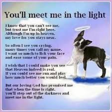 Maybe you would like to learn more about one of these? 28 Dogs Prayers For Loss Ideas Dogs Dog Quotes Rainbow Bridge