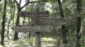 Check spelling or type a new query. Hiking At Fort Cooper State Park In Inverness Florida Youtube